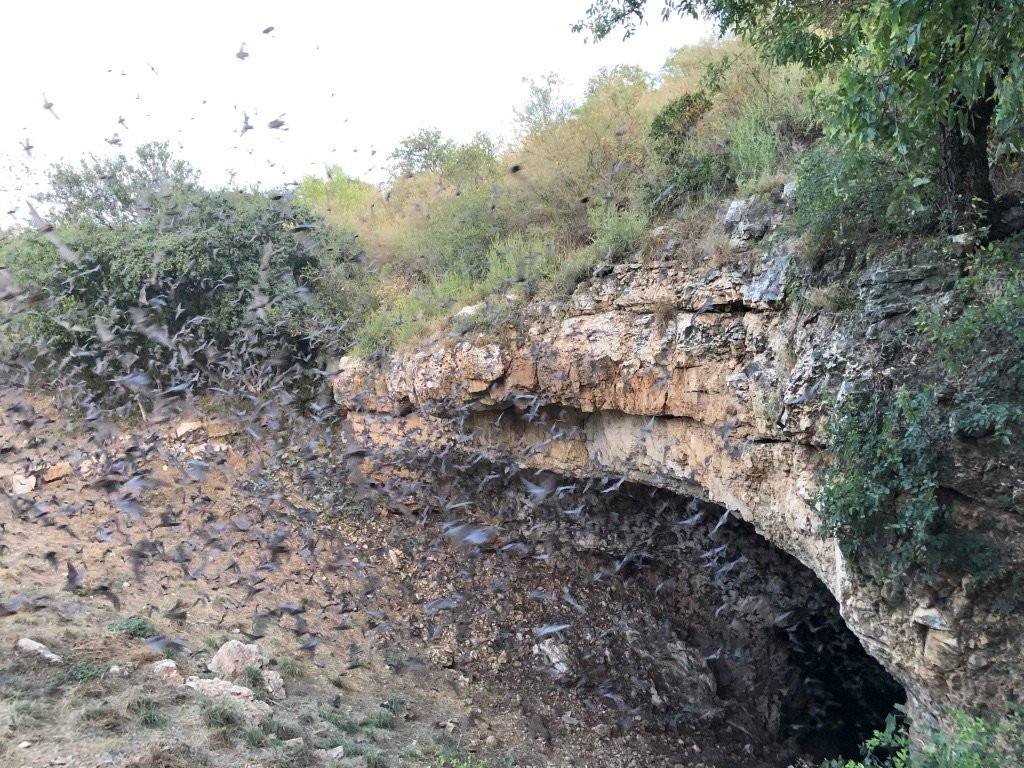 Eckert James River Bat Cave Preserve景点图片