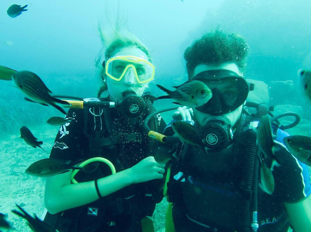 Aegean Divers Dive Center - Day Excursions景点图片