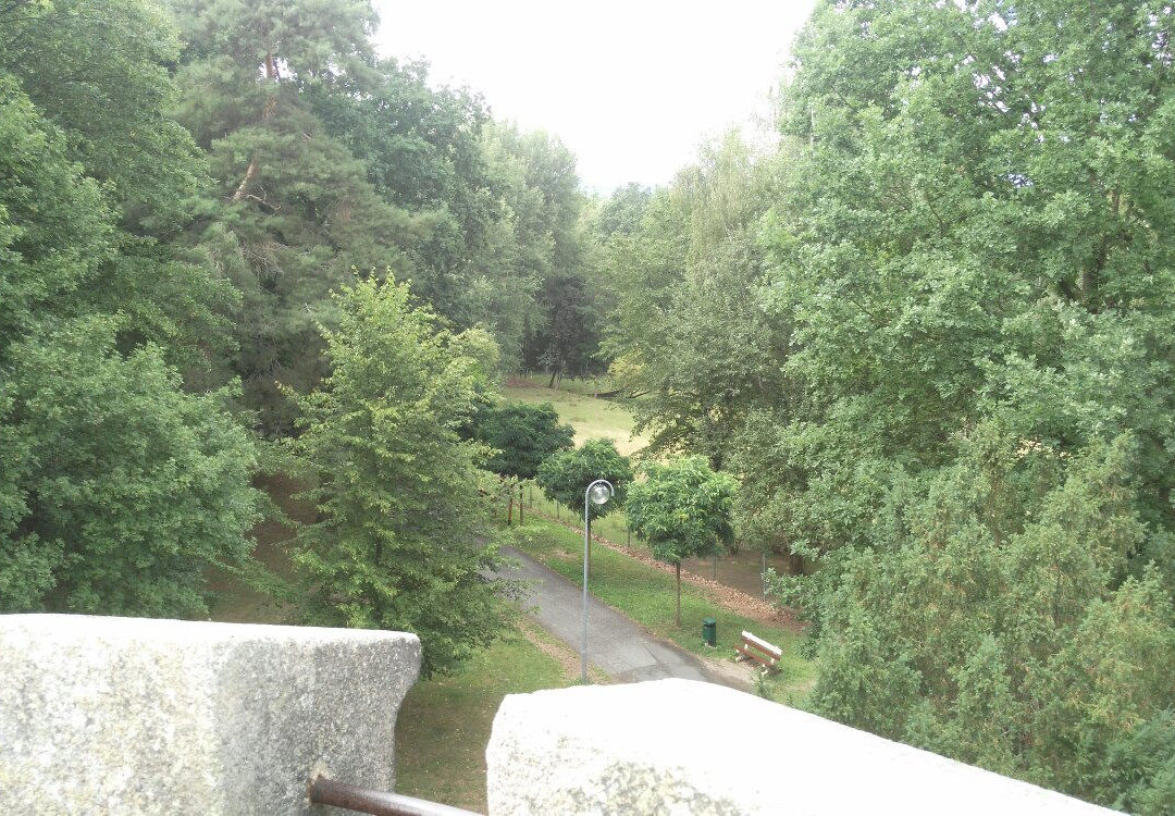 Salingburg Observation Deck-弗提科维泉市必去景点