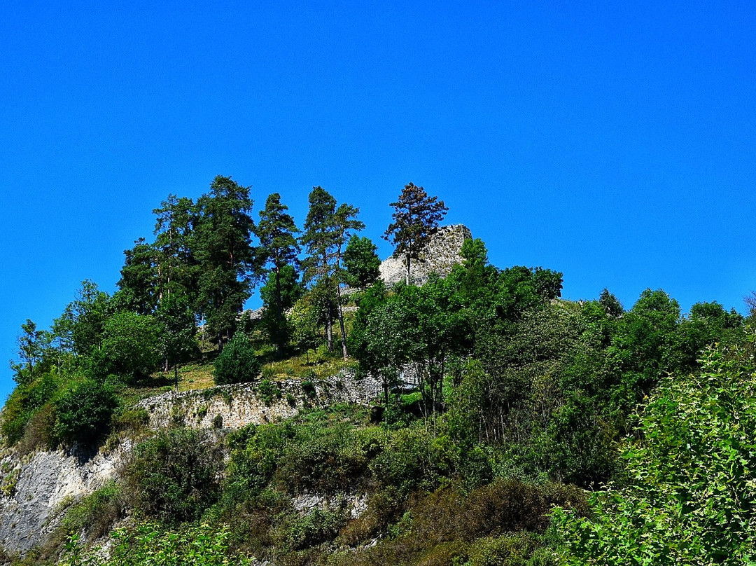 Burg Griffen景点图片