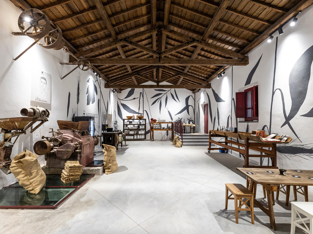 Museo Molino Garau - Agrobass - Sardinian Farm