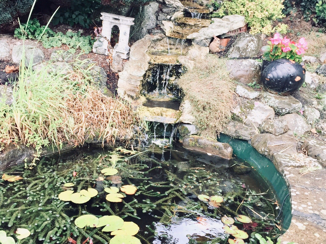 Damerstown Farmhouse B&B主图