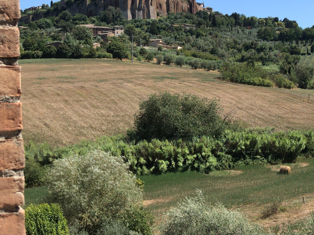 B&B il Terrazzo主图