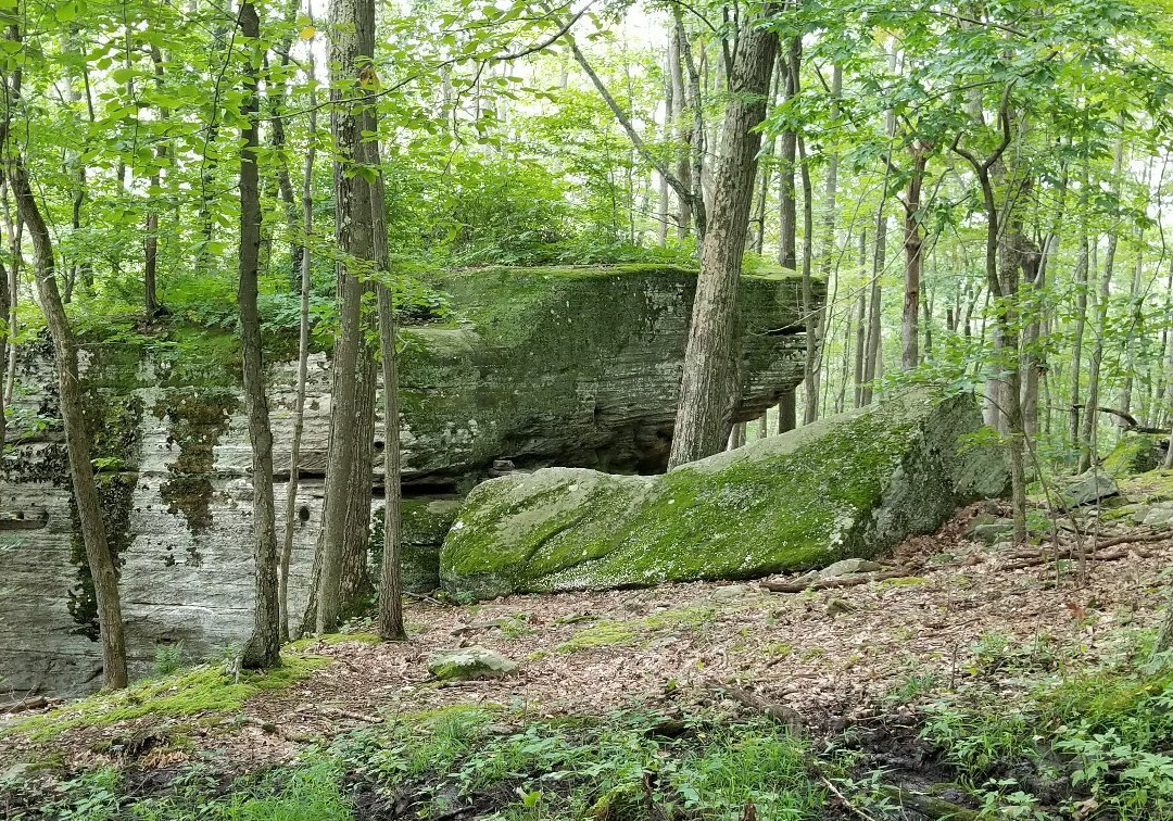 Rimrock Overlook-Warren必去景点