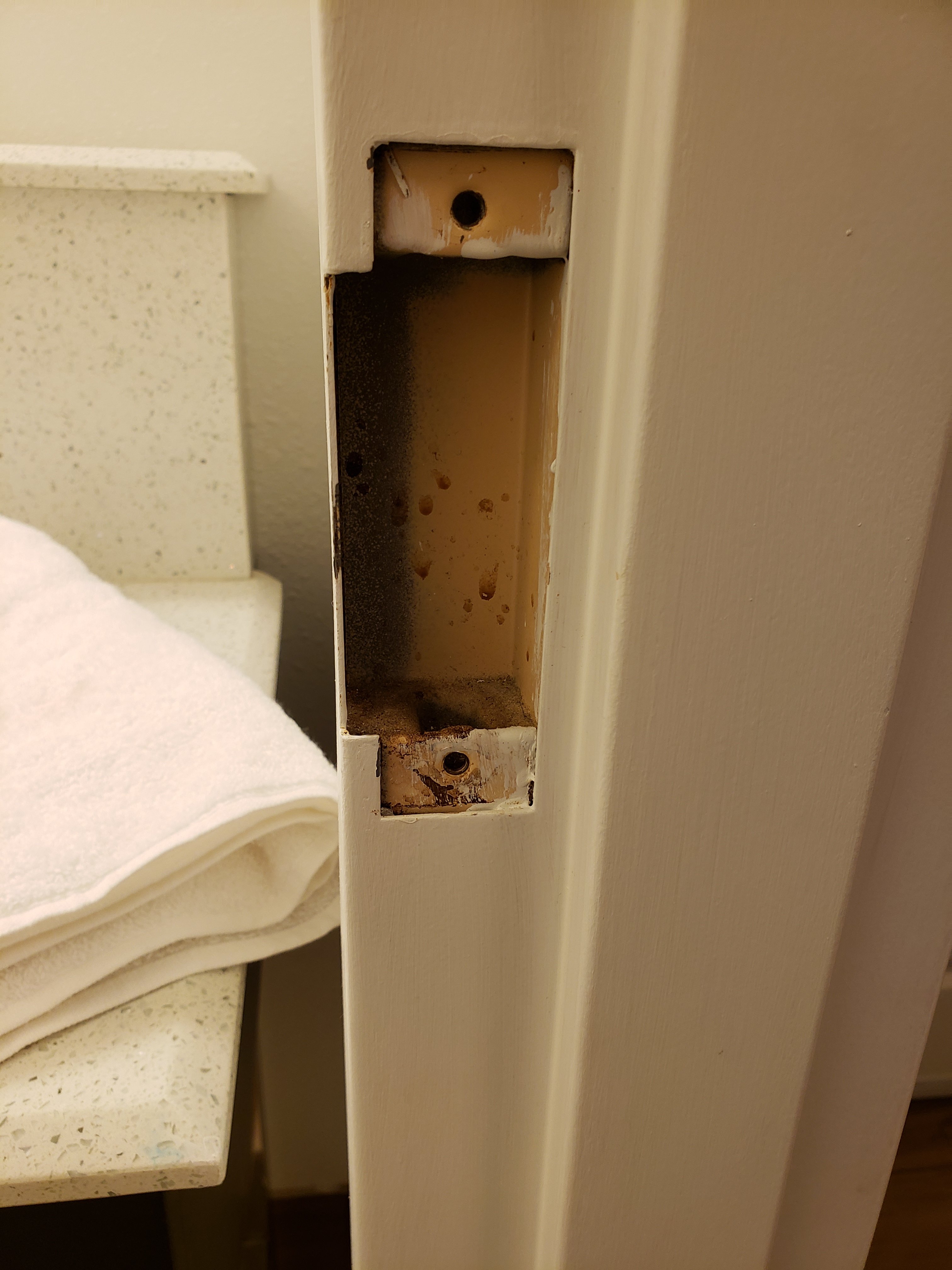 Hampton Inn & Suites Palm Coast-浴室