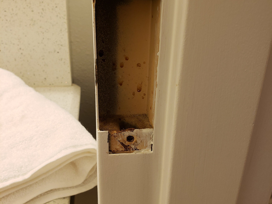 Hampton Inn & Suites Palm Coast主图