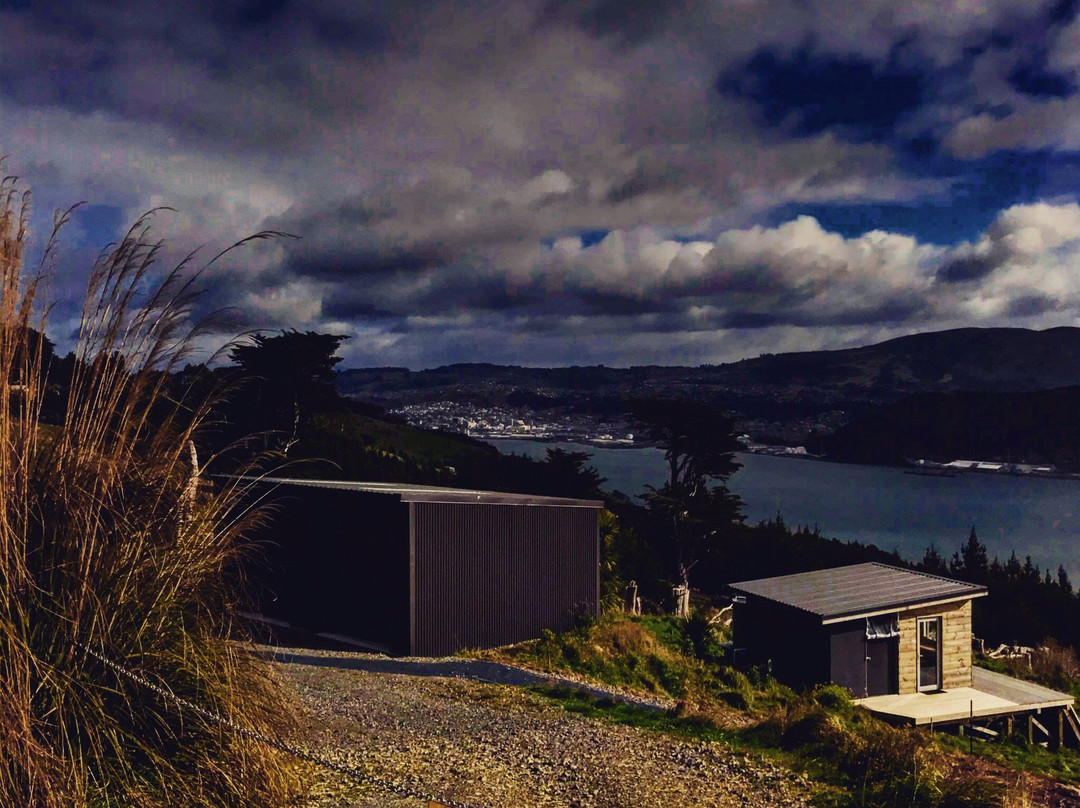 Dunedin Town Hall景点图片