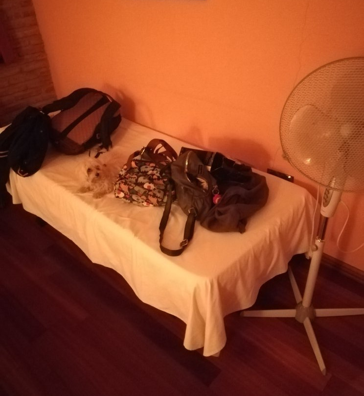 Hotel La Fuente主图