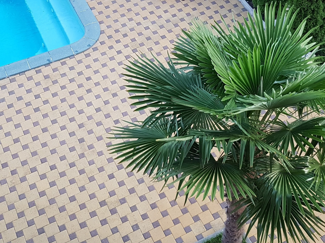 Riviera Gostevoy Dvor主图