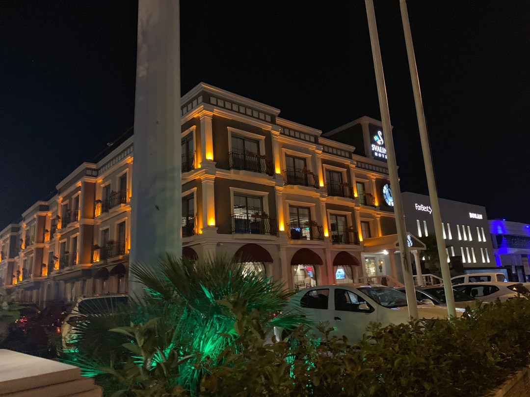 Svalinn Hotel主图
