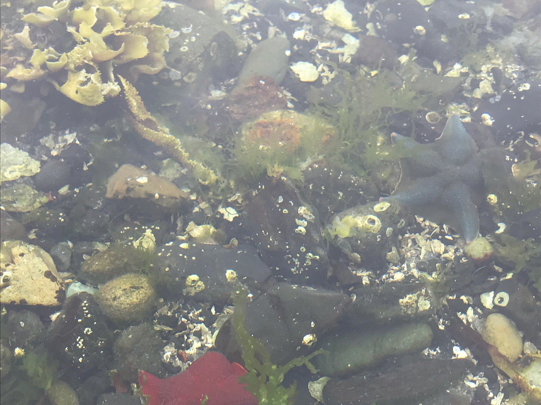 Haida Style Expeditions-Skidegate必去景点