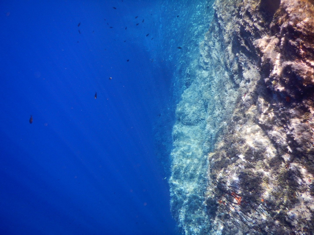 Ambiente Liquido Diving Center景点图片