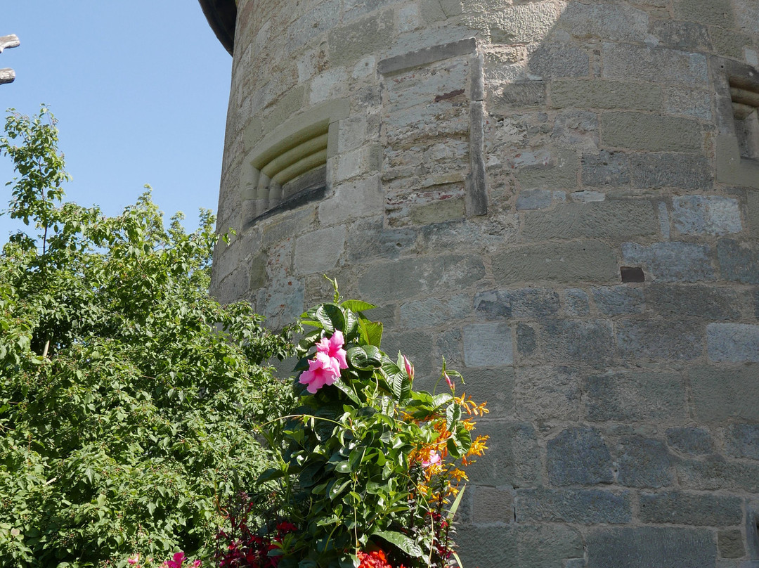 Burgschloss Schorndorf景点图片