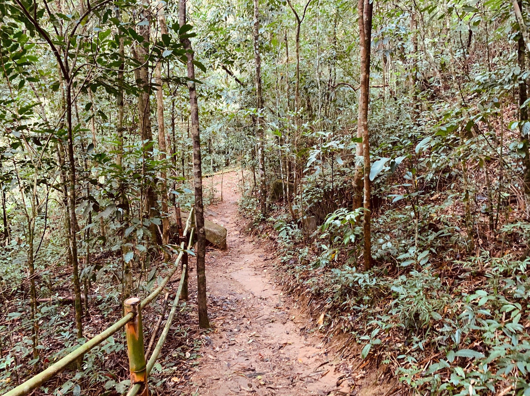 Cachoeira das Sete Quedas景点图片