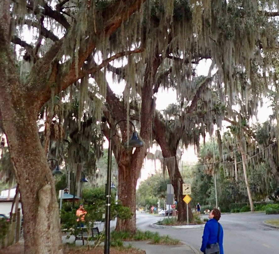 Retreat At Crystal Manatee主图