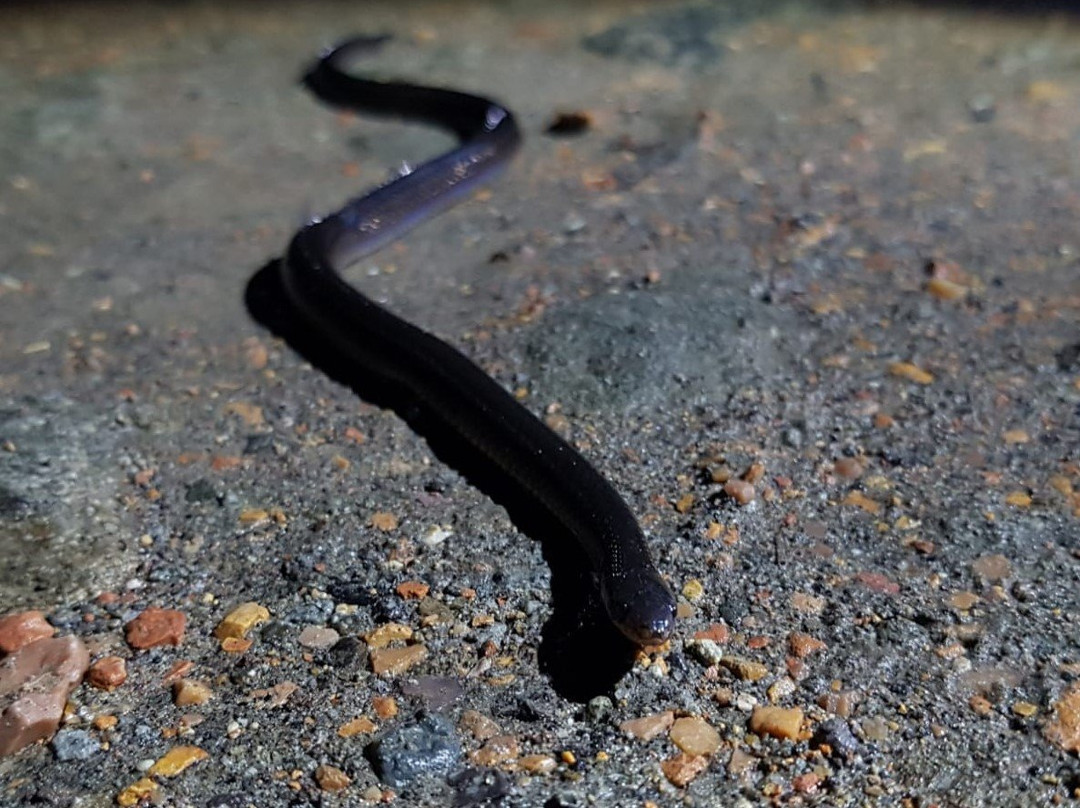 Mindo Biking-明多必去景点