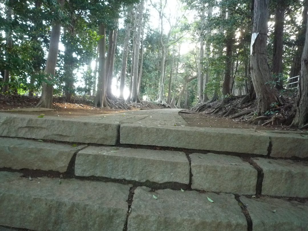 Omiya Shrine-流山市必去景点