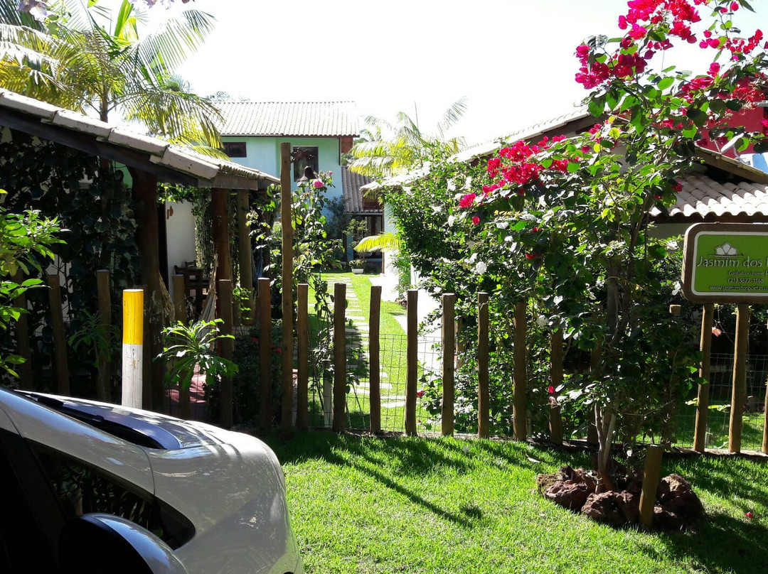 Jasmim dos Poetas主图