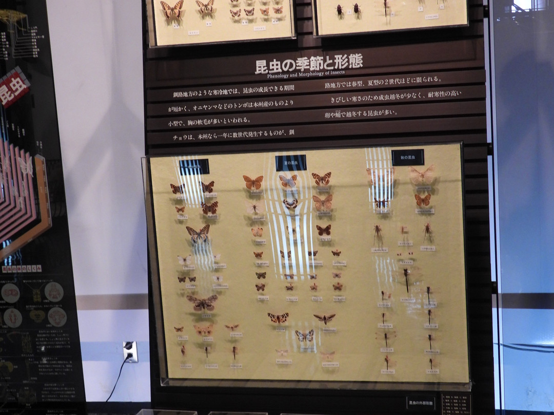 The Kushiro City Museum-钏路市必去景点