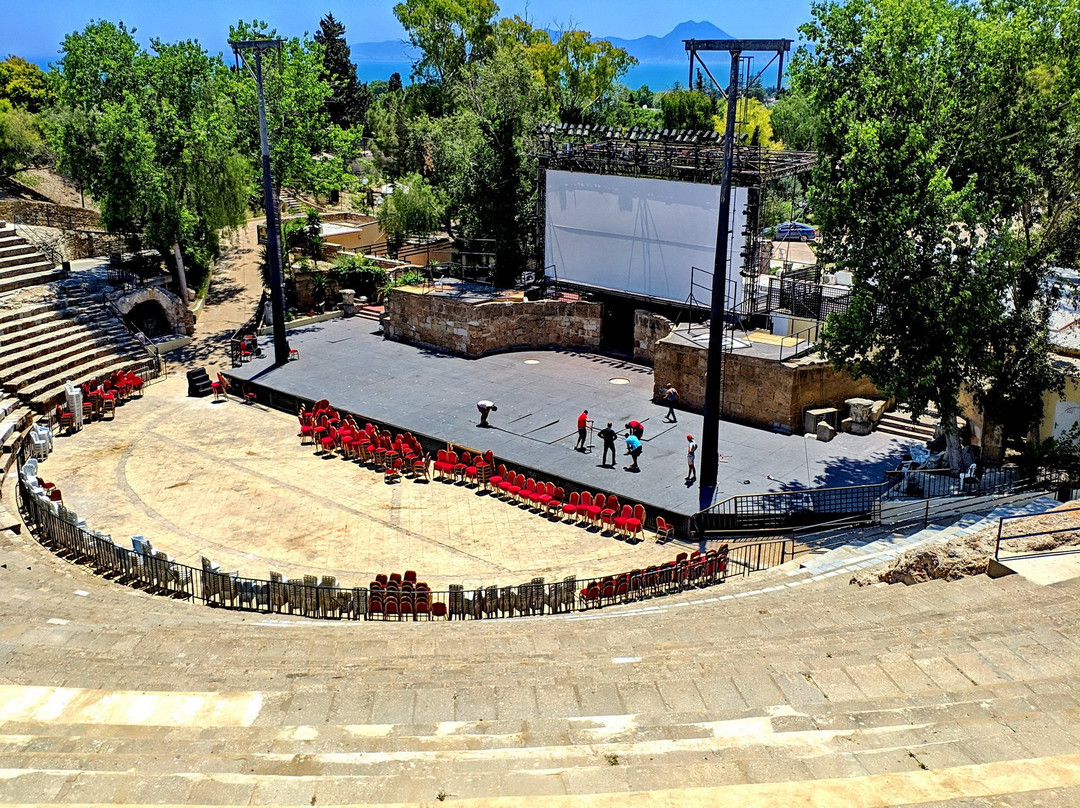 The Roman Theatre of Carthage景点图片