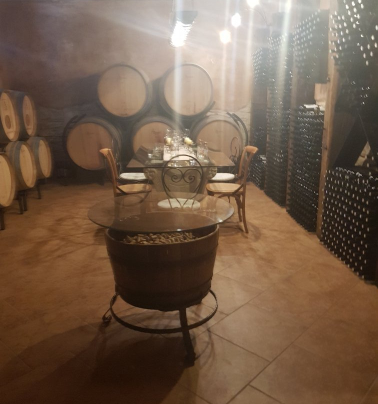 Winery San Tommaso景点图片