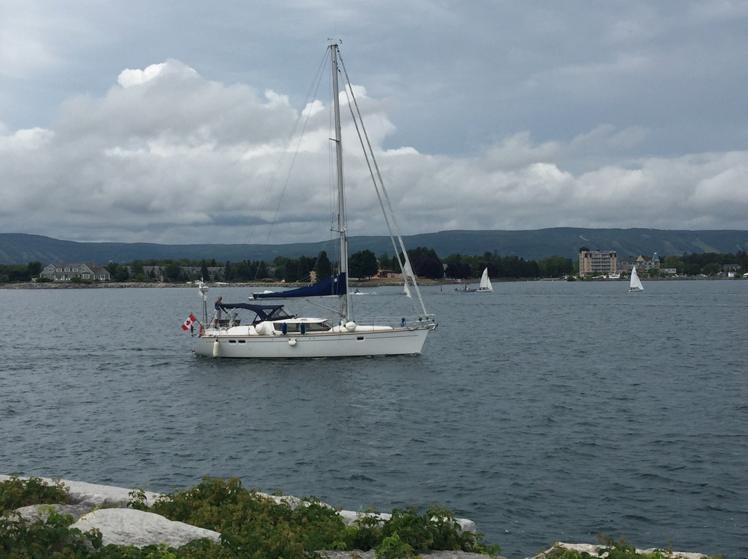 Millennium Park-科林伍德必去景点