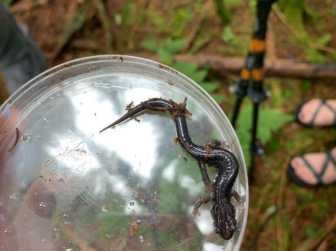 White Blaze Outdoors-Abingdon必去景点