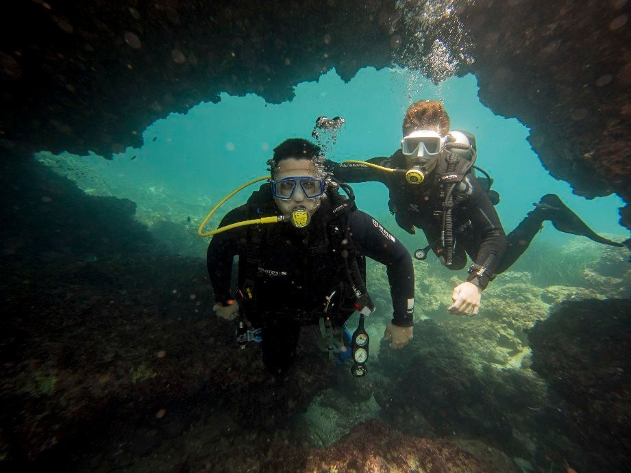 Delphinus Diving School-萨可马必去景点