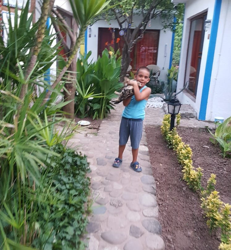 Relax Point Butik Pansiyon主图