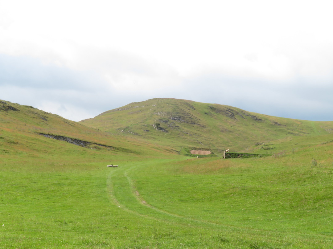 Limestone Way / Bradford River Walk景点图片