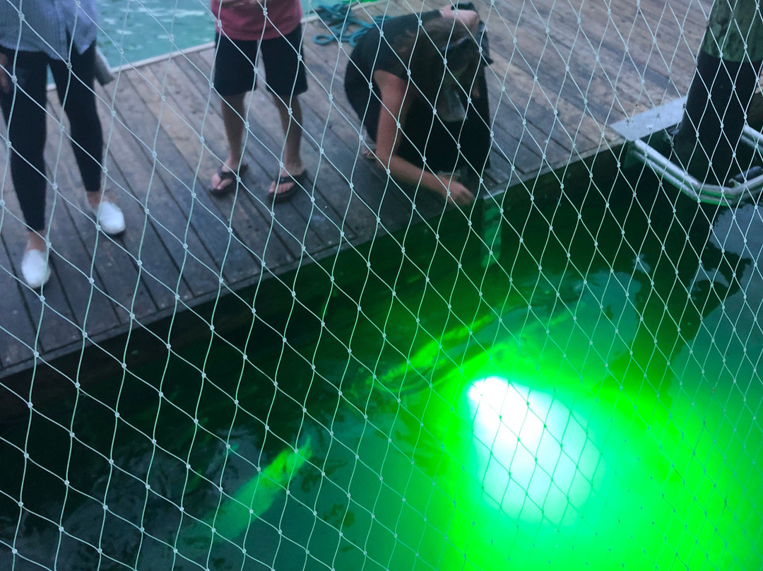 15th Street Fisheries-劳德代尔堡必去景点