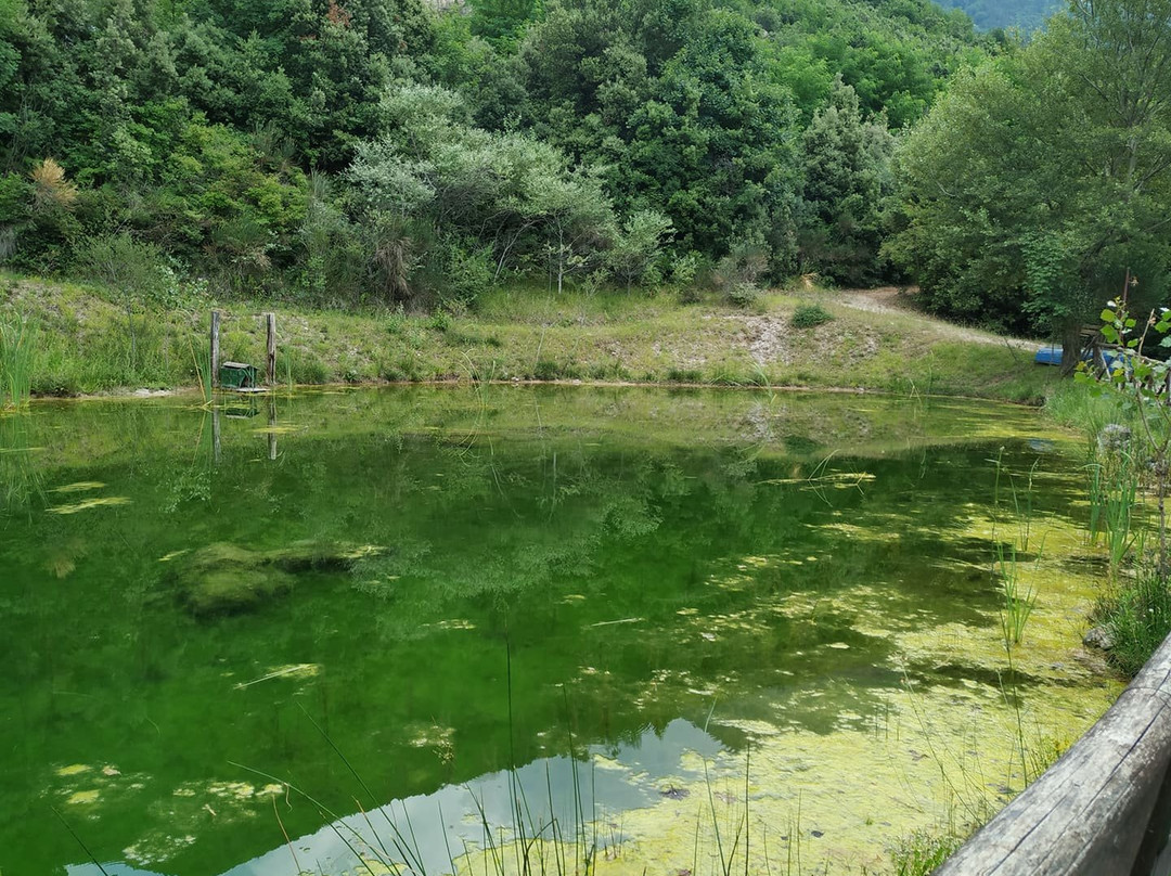 Agriturismo Colloreto主图