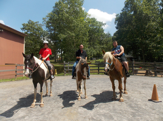 Magic Mountain Farm-温切斯特必去景点