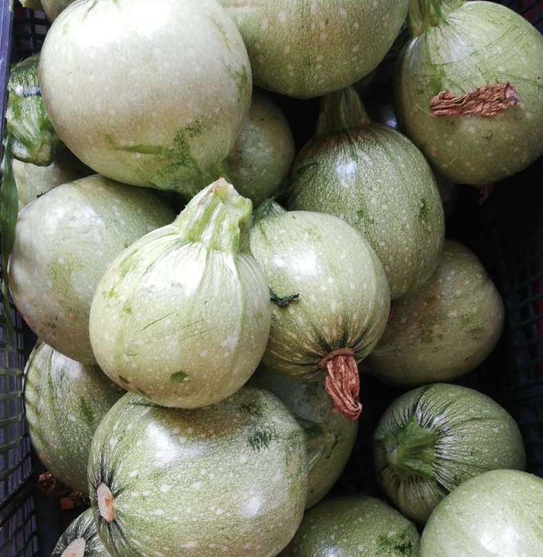 马奇纳农庄酒店主图