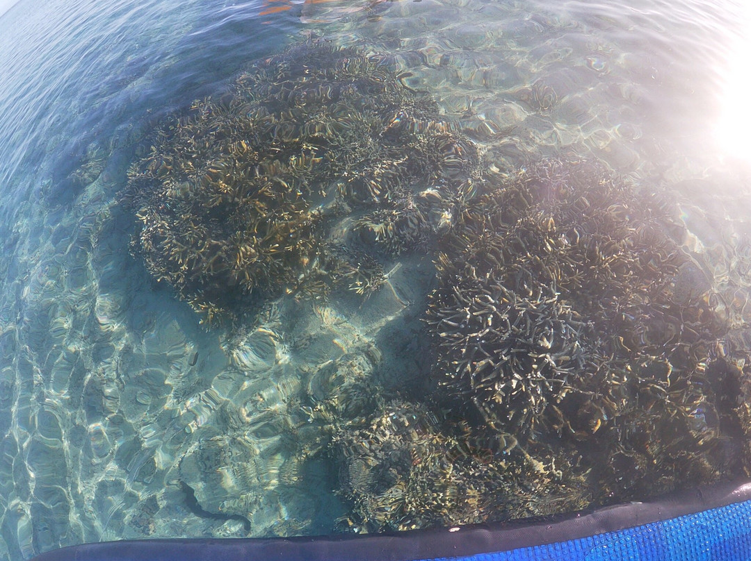 Plage de Trou d'Eau景点图片