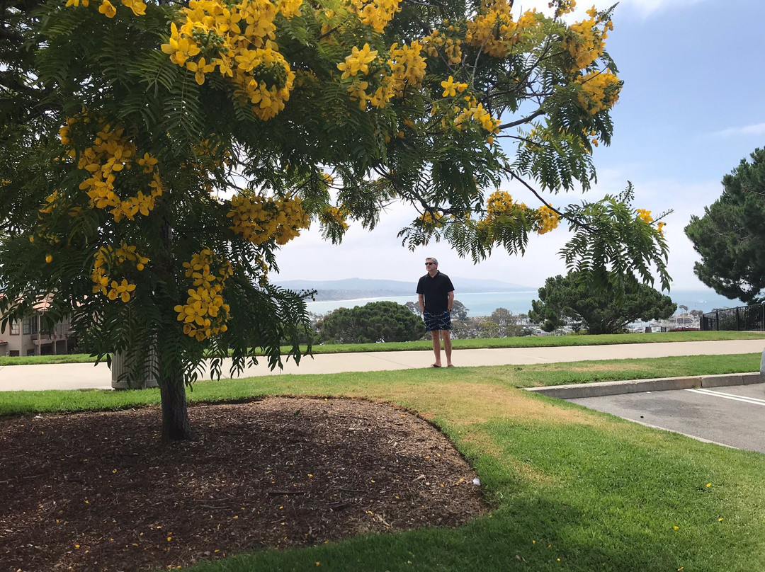 Doris Walker Overlook-德纳角必去景点