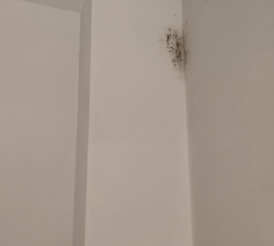 King William IV Heydon主图