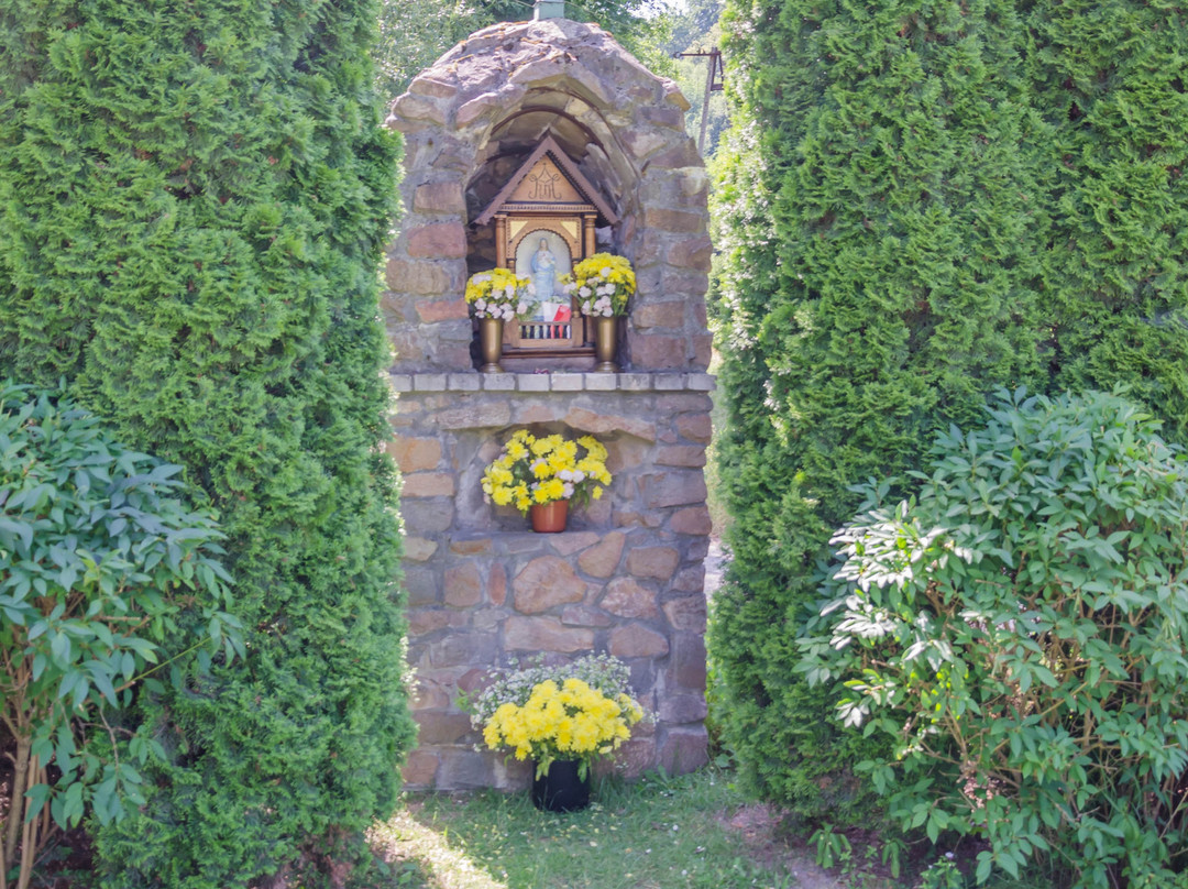 Rezerwat przyrody Zimny Doł-Czułow必去景点