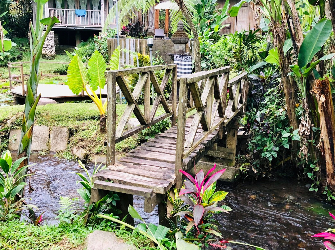 彭杜克塞巴图别墅酒店主图