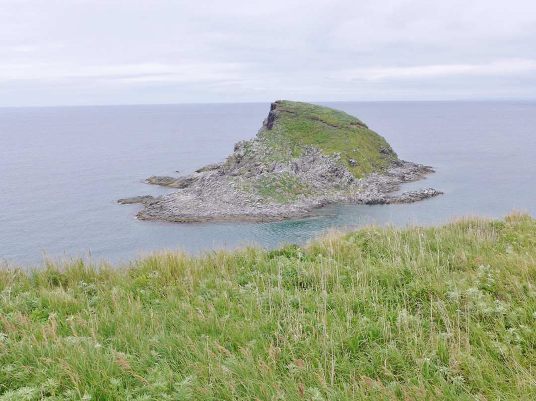 Ponshimori Beach-利尻富士町必去景点