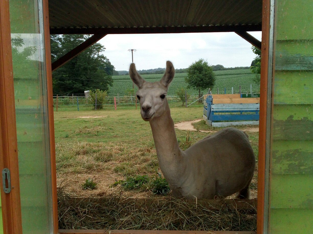 La Petite Ferme de Pouillon-Pouillon必去景点