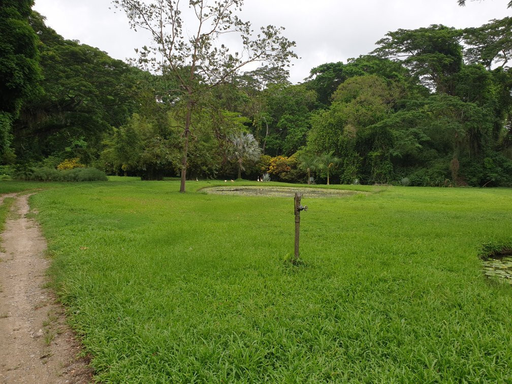 Hotel Antigua Mision Parque & Spa主图