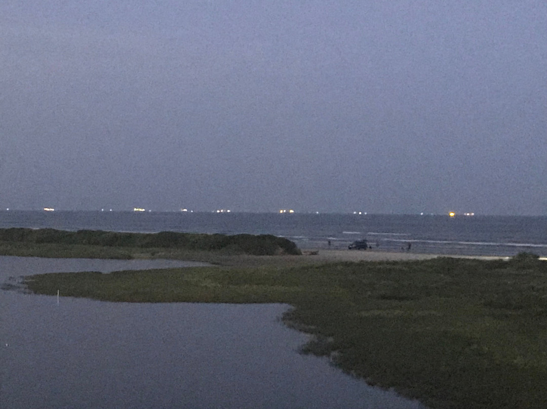 Woody's Beach Bar-加尔维斯顿岛必去景点