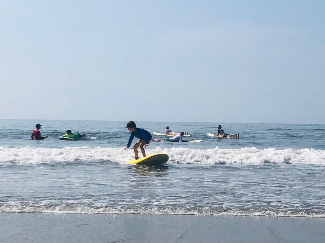 Carolina Salt Surf Lessons景点图片