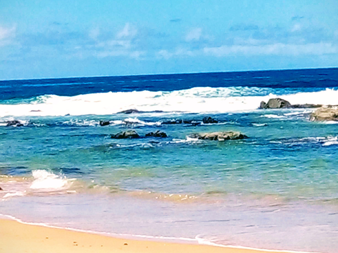 Bahia Plaza Hotel主图