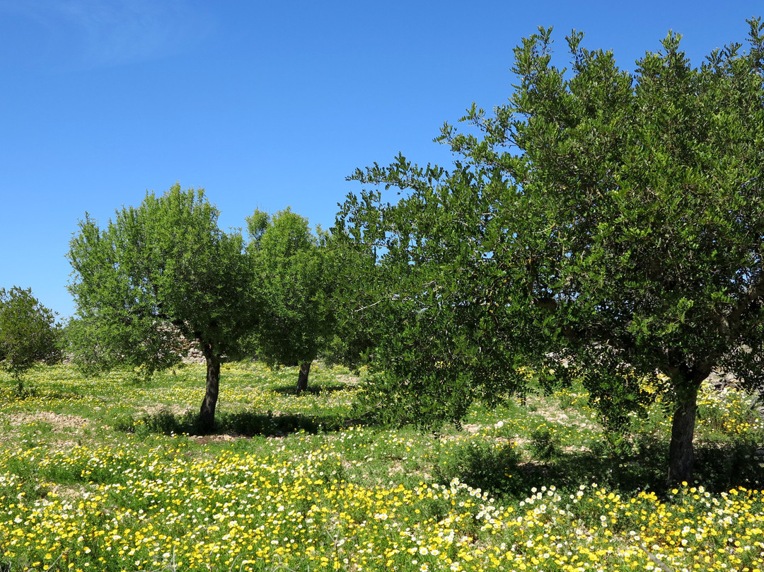 Talaiots Capocorb Vell