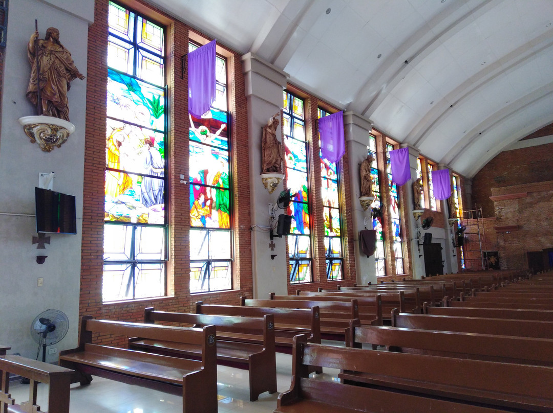 St Francis of Assisi Parish景点图片