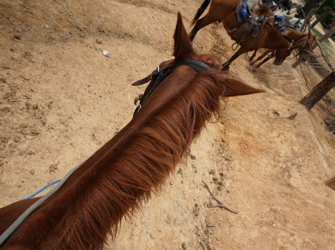 Step In The Valley-维纳勒斯必去景点
