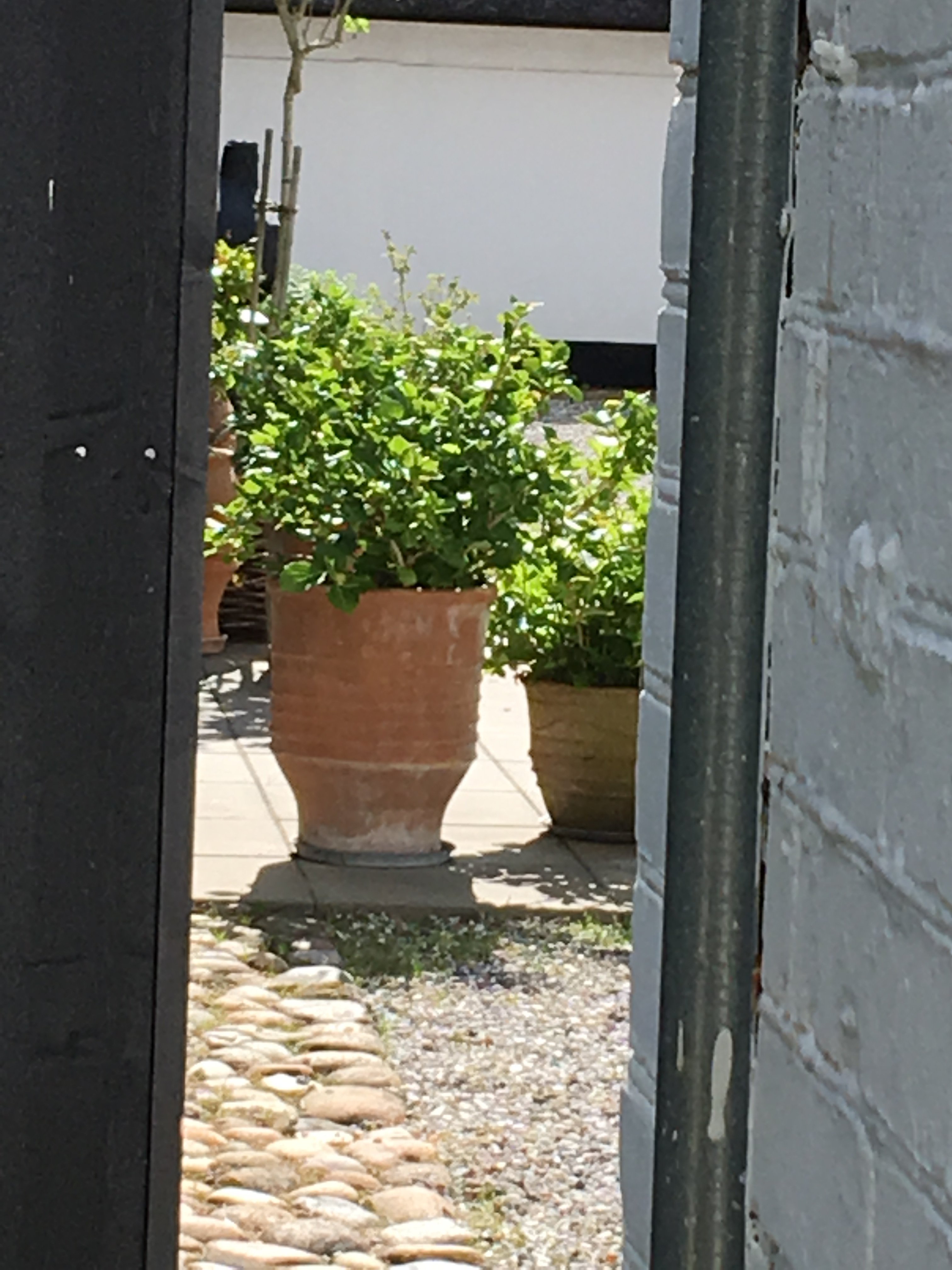 Galleri Humlum B&B-酒店景观