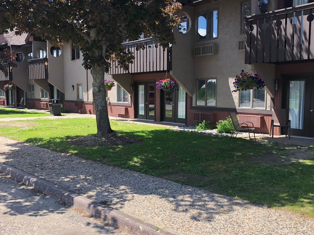 Treetops Resort主图